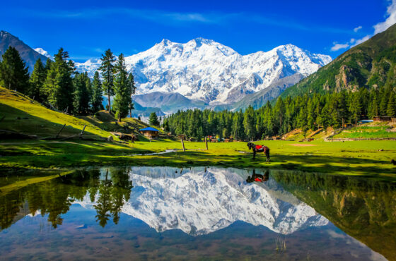 Naran Kaghan Valley Tour